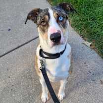 Thumbnail photo of Yuki #3