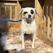 Thumbnail photo of DOROTHY #2