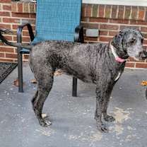 Thumbnail photo of Bonnie #1