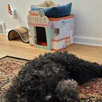 Thumbnail photo of Bonnie #2