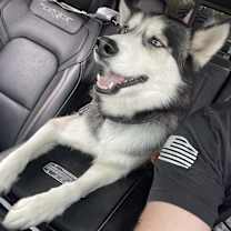 Thumbnail photo of Gunner #1