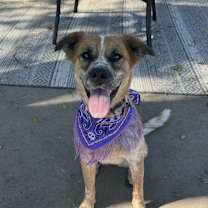 Thumbnail photo of Annie #1