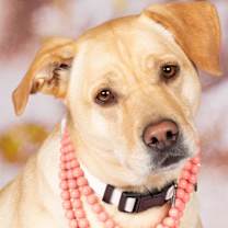 Thumbnail photo of Thelma Dickinson #1