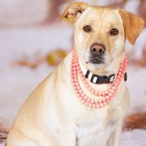 Thumbnail photo of Thelma Dickinson #2