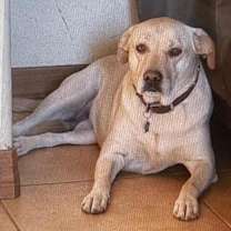 Thumbnail photo of Thelma Dickinson #3