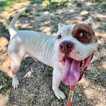 Thumbnail photo of Banks #1