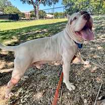 Thumbnail photo of Banks #2