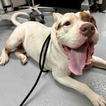 Thumbnail photo of Banks #3