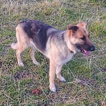 Thumbnail photo of Luca #3