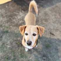 Thumbnail photo of Sandy 12-2-25 #1