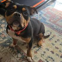 Thumbnail photo of Sasha #3