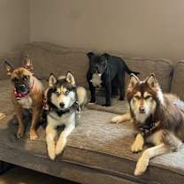 Thumbnail photo of Bandit #3