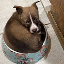 Thumbnail photo of Emily #1