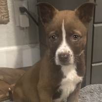 Thumbnail photo of Emily #2