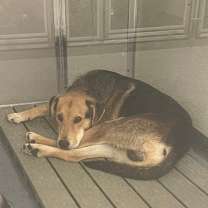 Thumbnail photo of Wiggles #2