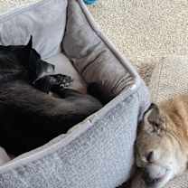 Thumbnail photo of Max #3