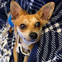 Thumbnail photo of Francesco #2