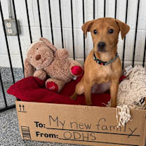 Thumbnail photo of Sunny #1