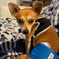 Thumbnail photo of Francesco #4