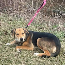 Thumbnail photo of Wiggles #4