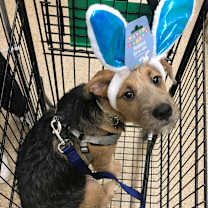 Thumbnail photo of Beans #1