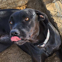 Thumbnail photo of Kara #1