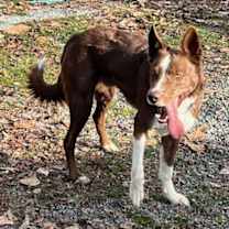 Thumbnail photo of Tucker #1