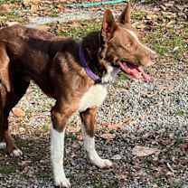 Thumbnail photo of Tucker #3