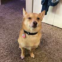 Thumbnail photo of Ramsey #1