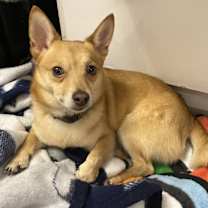 Thumbnail photo of Ramsey #2