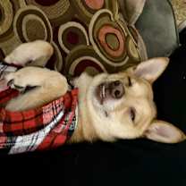 Thumbnail photo of Ramsey #3