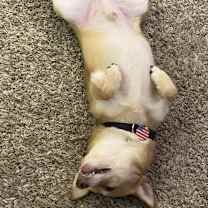 Thumbnail photo of Ramsey #4