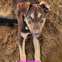 Thumbnail photo of Lupita #1