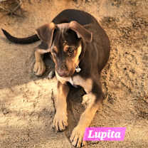 Thumbnail photo of Lupita #4