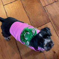 Thumbnail photo of Sol #3