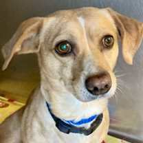 Thumbnail photo of Lucky #1