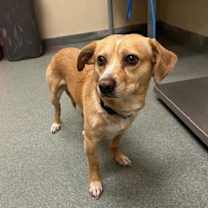 Thumbnail photo of Lucky #2