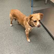 Thumbnail photo of Lucky #3