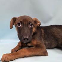 Thumbnail photo of Joannie #2