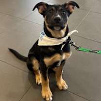 Thumbnail photo of Titan #1