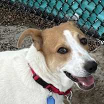 Thumbnail photo of Charlie #1