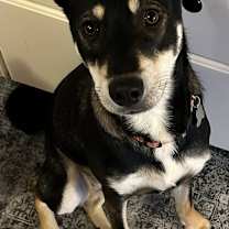 Thumbnail photo of Nicky #2