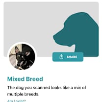 Thumbnail photo of Nicky #4