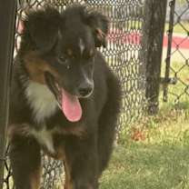 Thumbnail photo of Luc "in Paris"/Sammy (Sam) #2