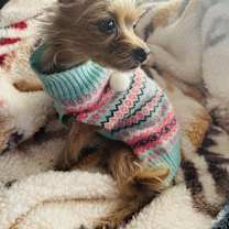 Thumbnail photo of Karina #3