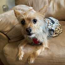 Thumbnail photo of Karina #4