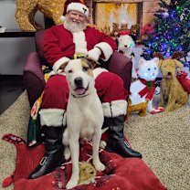 Thumbnail photo of Jake #1