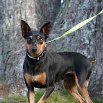 Thumbnail photo of JILSON #1