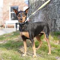 Thumbnail photo of JILSON #2