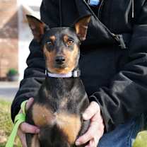 Thumbnail photo of JILSON #3